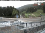 Archiv Foto Webcam Skischule Rindole, Trentino 11:00