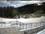 Archiv Foto Webcam Skischule Rindole, Trentino 13:00