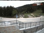 Archiv Foto Webcam Skischule Rindole, Trentino 15:00