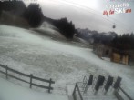 Archiv Foto Webcam Skischule Rindole, Trentino 11:00