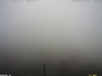 Archiv Foto Webcam Bärenfang, Hochstuckli Sattel 11:00