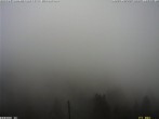 Archiv Foto Webcam Bärenfang, Hochstuckli Sattel 07:00