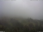 Archiv Foto Webcam Bärenfang, Hochstuckli Sattel 17:00