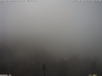 Archiv Foto Webcam Bärenfang, Hochstuckli Sattel 15:00