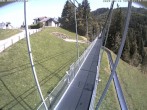 Archived image Webcam Sattel, Skywalk 11:00