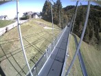Archiv Foto Webcam Skywalk, Sattel 11:00