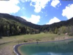 Archiv Foto Webcam Speichersee / Puchberg am Schneeberg 11:00