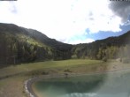 Archiv Foto Webcam Speichersee / Puchberg am Schneeberg 13:00
