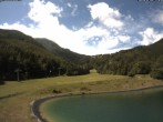 Archiv Foto Webcam Speichersee / Puchberg am Schneeberg 11:00