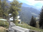 Archiv Foto Webcam Sonnenterrasse Edelweisshütte 11:00
