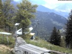 Archiv Foto Webcam Sonnenterrasse Edelweisshütte 13:00