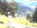 Archiv Foto Webcam Sonnenterrasse Edelweisshütte 11:00