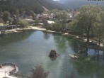 Archiv Foto Webcam Puchberg am Schneeberg - Kurpark 11:00