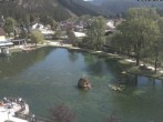 Archiv Foto Webcam Puchberg am Schneeberg - Kurpark 13:00
