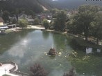 Archiv Foto Webcam Puchberg am Schneeberg - Kurpark 11:00