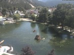 Archiv Foto Webcam Puchberg am Schneeberg - Kurpark 13:00