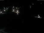 Archiv Foto Webcam Puchberg am Schneeberg - Kurpark 01:00