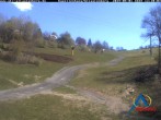 Archiv Foto Webcam Kapellenhang Altastenberg 11:00