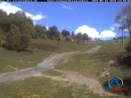 Archiv Foto Webcam Kapellenhang Altastenberg 13:00
