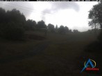 Archiv Foto Webcam Kapellenhang Altastenberg 11:00