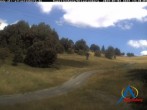 Archiv Foto Webcam Kapellenhang Altastenberg 13:00