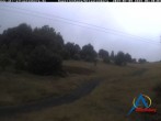 Archiv Foto Webcam Kapellenhang Altastenberg 05:00