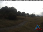 Archiv Foto Webcam Kapellenhang Altastenberg 11:00