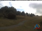 Archiv Foto Webcam Kapellenhang Altastenberg 11:00
