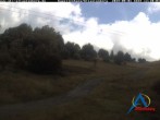Archiv Foto Webcam Kapellenhang Altastenberg 11:00