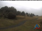 Archiv Foto Webcam Kapellenhang Altastenberg 11:00