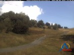 Archiv Foto Webcam Kapellenhang Altastenberg 13:00