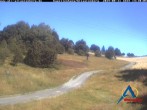 Archiv Foto Webcam Kapellenhang Altastenberg 13:00