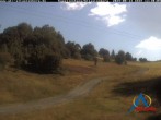 Archiv Foto Webcam Kapellenhang Altastenberg 11:00
