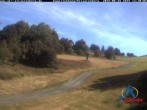 Archiv Foto Webcam Kapellenhang Altastenberg 11:00