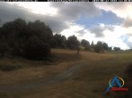 Archiv Foto Webcam Kapellenhang Altastenberg 11:00