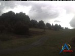 Archived image Webcam Altastenberg &#34;Kapellenhang&#34; 11:00