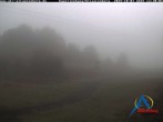 Archiv Foto Webcam Kapellenhang Altastenberg 11:00
