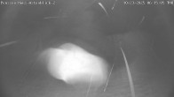Archiv Foto Webcam Haus Astenblick 05:00