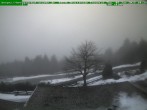 Archived image Webcam Brotterode (Thuringian Forest) 09:00