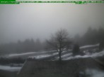 Archived image Webcam Brotterode (Thuringian Forest) 11:00