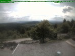 Archived image Webcam Brotterode (Thuringian Forest) 13:00