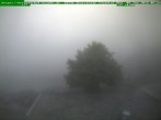 Archived image Webcam Brotterode (Thuringian Forest) 05:00