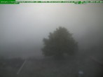 Archived image Webcam Brotterode (Thuringian Forest) 06:00