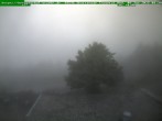 Archived image Webcam Brotterode (Thuringian Forest) 07:00