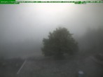 Archived image Webcam Brotterode (Thuringian Forest) 09:00