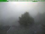 Archived image Webcam Brotterode (Thuringian Forest) 11:00