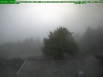 Archived image Webcam Brotterode (Thuringian Forest) 13:00