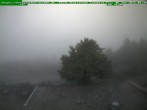 Archiv Foto Webcam Brotterode im Thüringer Wald 07:00