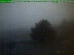 Archiv Foto Webcam Brotterode im Thüringer Wald 03:00