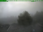 Archiv Foto Webcam Brotterode im Thüringer Wald 05:00